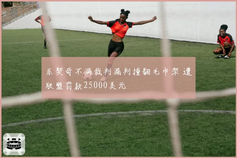 东契奇不满裁判漏判撞翻毛巾架 遭联盟罚款25000美元